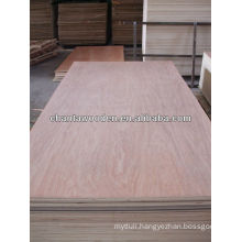 3.6mm BB/CC grade red hardwood face commercial plywood